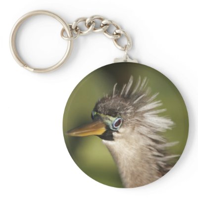 Anhinga Key Chain by wildlifezoo