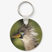Anhinga keychains by wildlifezoo Anhinga keychains