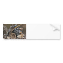 Anhinga...Living in the Sticks Bumper Sticker