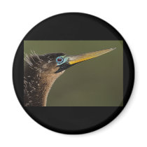 anhinga refrigerator magnets