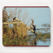 Anhinga Mousepad