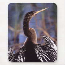 Anhinga Mouse Pads