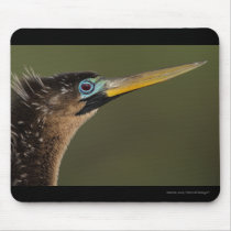 anhinga mousepads