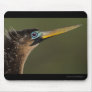 anhinga mousepads