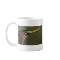 anhinga coffee mugs