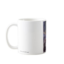 Anhinga Coffee Mugs
