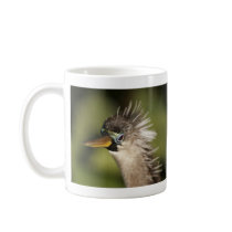 Anhinga Coffee Mugs