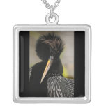 Anhinga necklaces