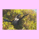 Anhinga on alert canvas prints