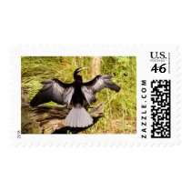 Anhinga Postage