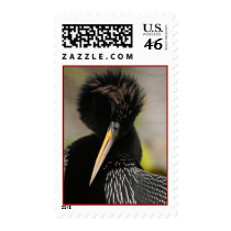anhinga stamps
