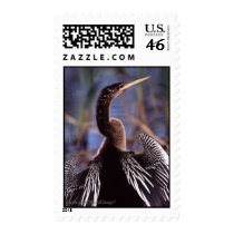 Anhinga Postage
