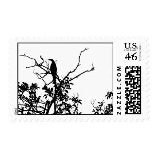 Anhinga Silhouette stamp