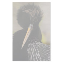 anhinga stationery