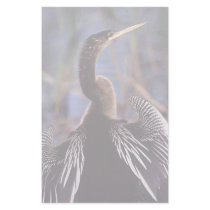 anhinga customized stationery