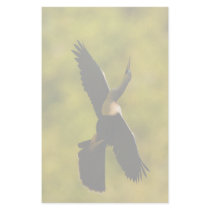 anhinga personalized stationery