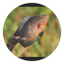 anhinga round stickers