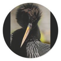 anhinga round sticker