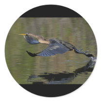 anhinga stickers