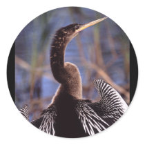 anhinga round stickers