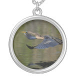 Anhinga Takeoff necklaces