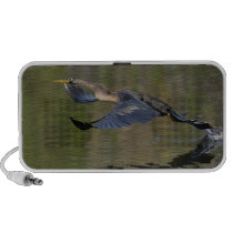 anhinga takeoff laptop speakers
