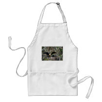 Anhingas, pair at nest aprons