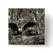 Anhingas, pair at nest button