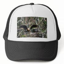Anhingas, pair at nest mesh hat