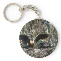Anhingas, pair at nest key chains