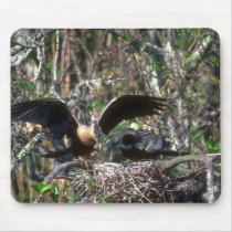 Anhingas, pair at nest mousepad