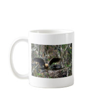 Anhingas, pair at nest mugs