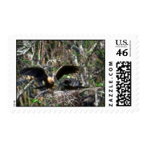 Anhingas, pair at nest postage