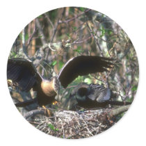Anhingas, pair at nest round stickers