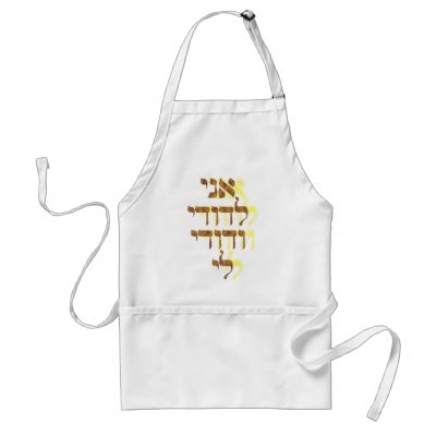 Ani Le'dodi Ve'Dodi Li Aprons by naranjay