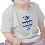 Ani Le'dodi Ve'Dodi Li Blue Tshirt