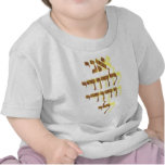 Ani Le'dodi Ve'Dodi Li Tee Shirt