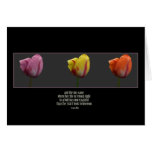 anias_tulips cards