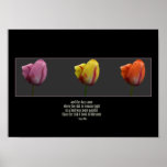 anias_tulips print