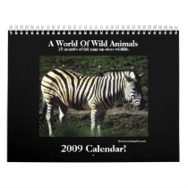 Animal 2009 Calendar