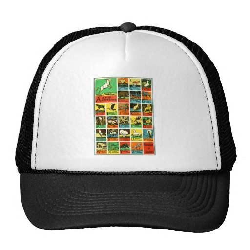 Animal abc alphabet Chart  teachers and learners Hats