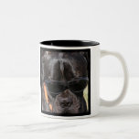 Animal Actors at ExtrasForMovies.com mugs