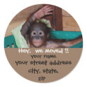 Animal Address Labels sticker