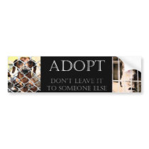 Animal Adoption Bumper Sticker