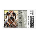 Animal Adoption Stamp