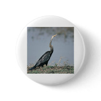 Animal-Anhinga Buttons