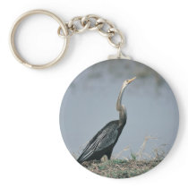 Animal-Anhinga Keychains