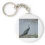 Animal-Anhinga Key Chain