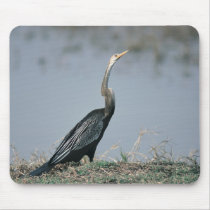 Animal-Anhinga Mouse Mat