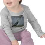 Animal-Anhinga Tee Shirts